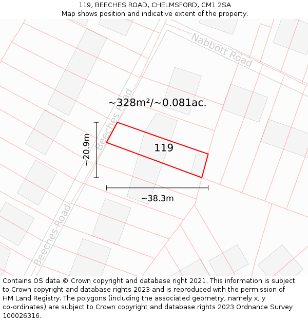 119, BEECHES ROAD, CHELMSFORD, CM1 2SA: Plot and title map