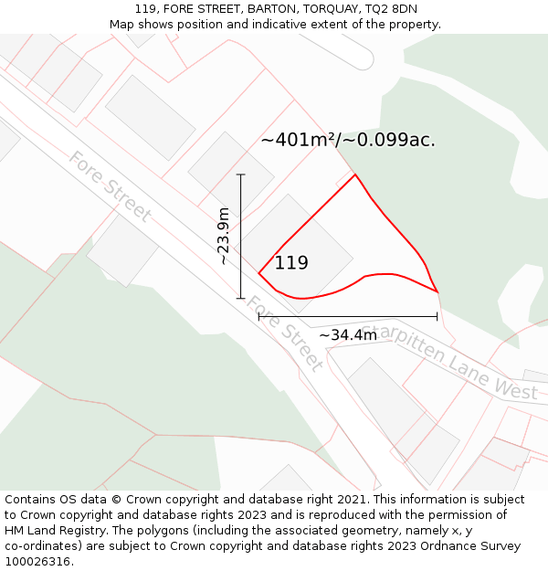 119, FORE STREET, BARTON, TORQUAY, TQ2 8DN: Plot and title map