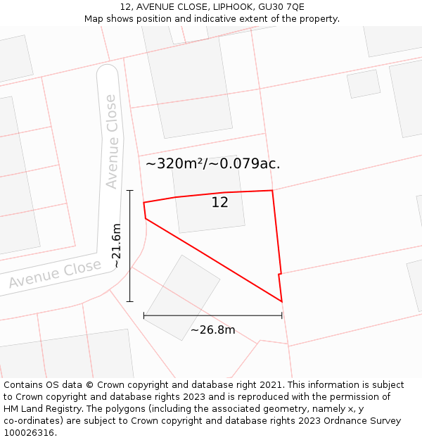 12, AVENUE CLOSE, LIPHOOK, GU30 7QE: Plot and title map