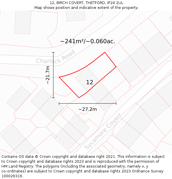12, BIRCH COVERT, THETFORD, IP24 2UL: Plot and title map