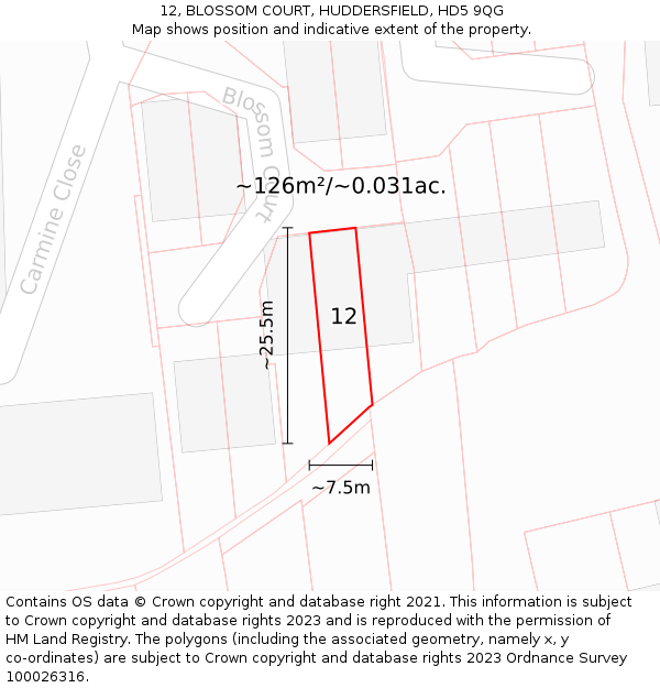 12, BLOSSOM COURT, HUDDERSFIELD, HD5 9QG: Plot and title map