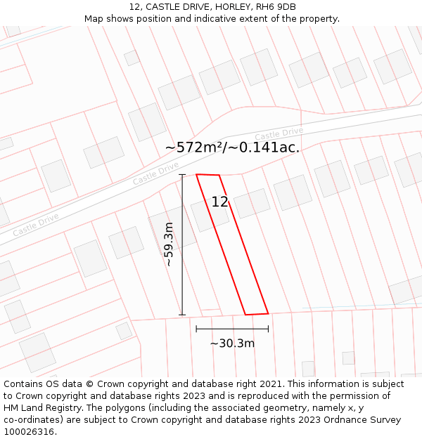 12, CASTLE DRIVE, HORLEY, RH6 9DB: Plot and title map