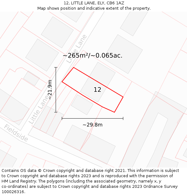12, LITTLE LANE, ELY, CB6 1AZ: Plot and title map