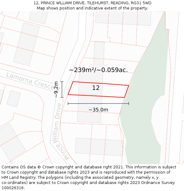 12, PRINCE WILLIAM DRIVE, TILEHURST, READING, RG31 5WD: Plot and title map