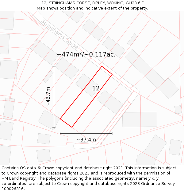 12, STRINGHAMS COPSE, RIPLEY, WOKING, GU23 6JE: Plot and title map
