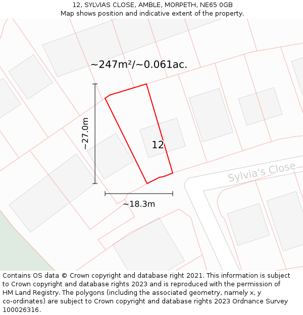12, SYLVIAS CLOSE, AMBLE, MORPETH, NE65 0GB: Plot and title map