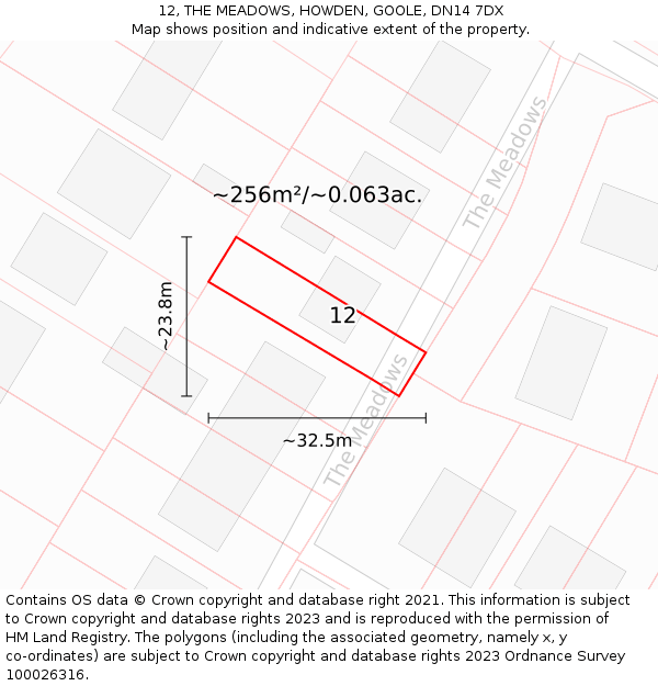 12, THE MEADOWS, HOWDEN, GOOLE, DN14 7DX: Plot and title map