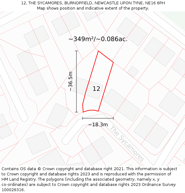 12, THE SYCAMORES, BURNOPFIELD, NEWCASTLE UPON TYNE, NE16 6PH: Plot and title map