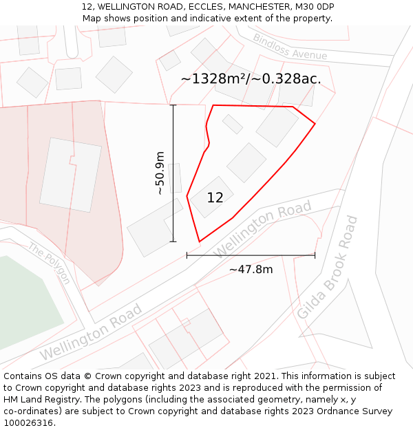 12, WELLINGTON ROAD, ECCLES, MANCHESTER, M30 0DP: Plot and title map