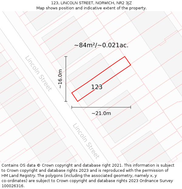 123, LINCOLN STREET, NORWICH, NR2 3JZ: Plot and title map