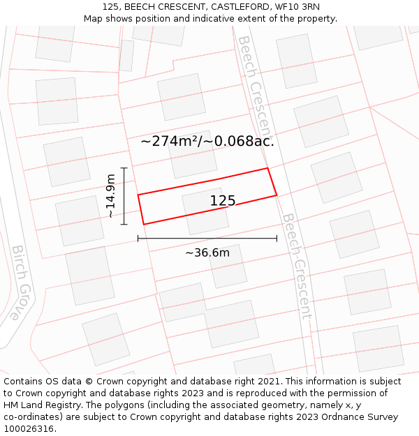 125, BEECH CRESCENT, CASTLEFORD, WF10 3RN: Plot and title map