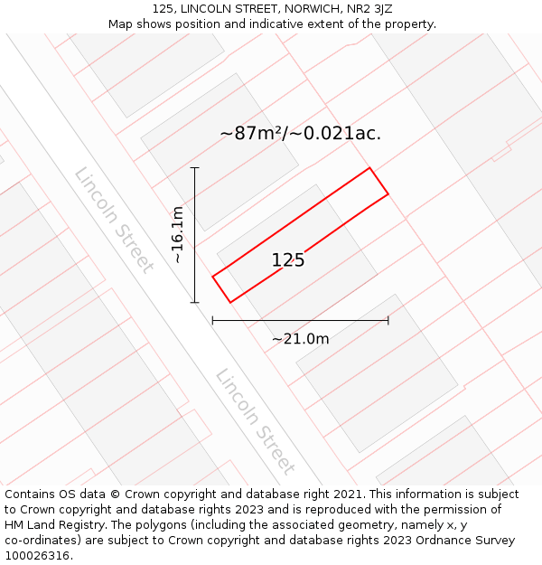125, LINCOLN STREET, NORWICH, NR2 3JZ: Plot and title map