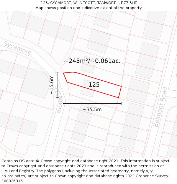 125, SYCAMORE, WILNECOTE, TAMWORTH, B77 5HE: Plot and title map