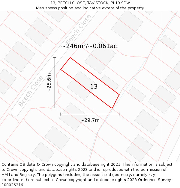 13, BEECH CLOSE, TAVISTOCK, PL19 9DW: Plot and title map
