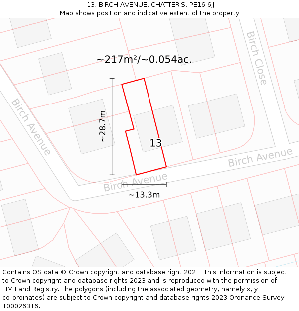 13, BIRCH AVENUE, CHATTERIS, PE16 6JJ: Plot and title map