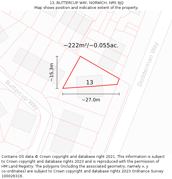 13, BUTTERCUP WAY, NORWICH, NR5 9JQ: Plot and title map