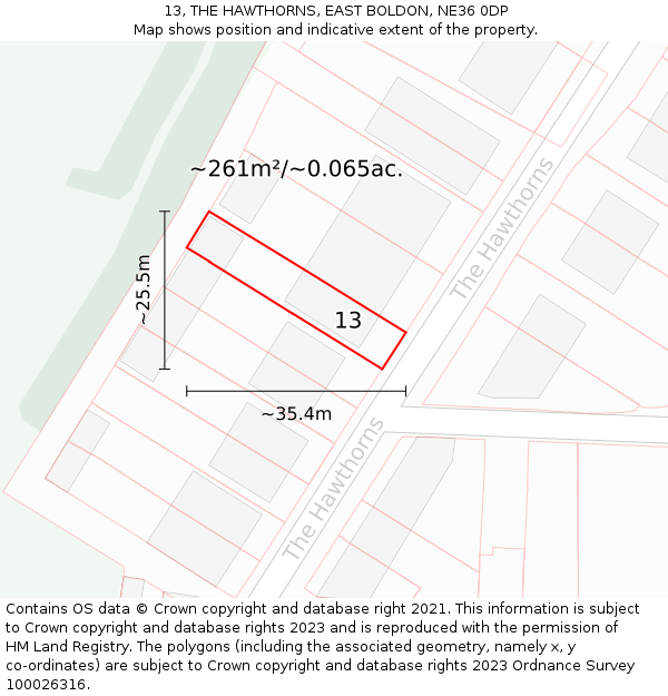 13, THE HAWTHORNS, EAST BOLDON, NE36 0DP: Plot and title map