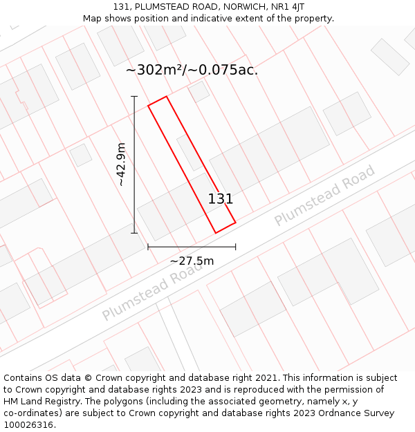 131, PLUMSTEAD ROAD, NORWICH, NR1 4JT: Plot and title map