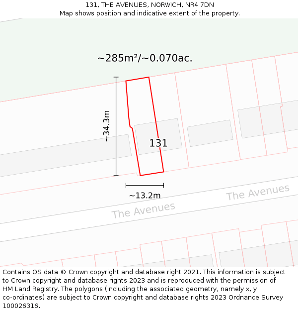131, THE AVENUES, NORWICH, NR4 7DN: Plot and title map