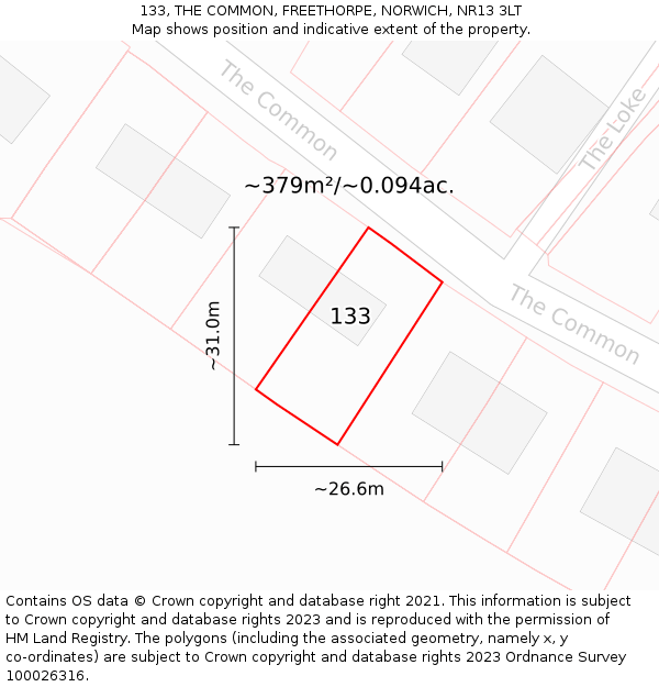 133, THE COMMON, FREETHORPE, NORWICH, NR13 3LT: Plot and title map