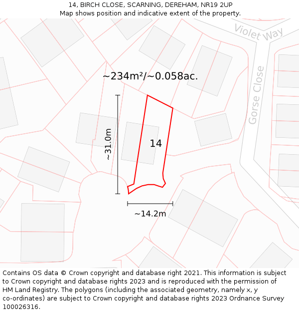 14, BIRCH CLOSE, SCARNING, DEREHAM, NR19 2UP: Plot and title map