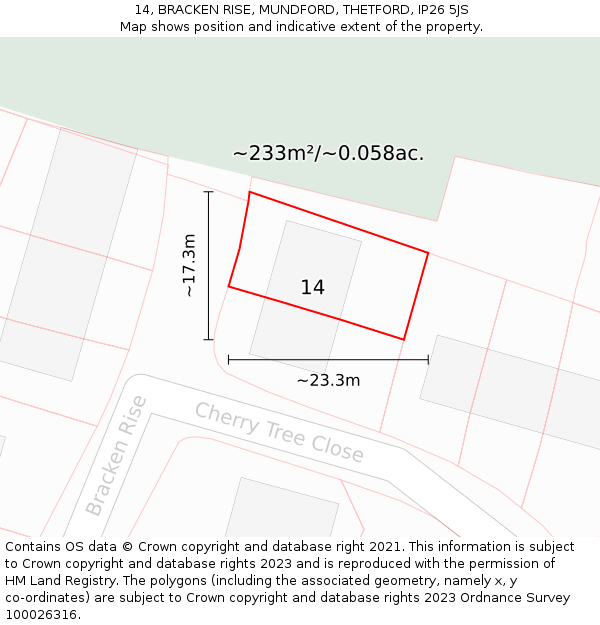 14, BRACKEN RISE, MUNDFORD, THETFORD, IP26 5JS: Plot and title map