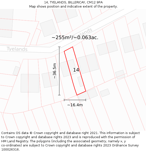 14, TYELANDS, BILLERICAY, CM12 9PA: Plot and title map