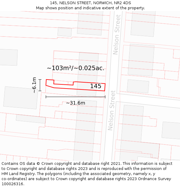 145, NELSON STREET, NORWICH, NR2 4DS: Plot and title map