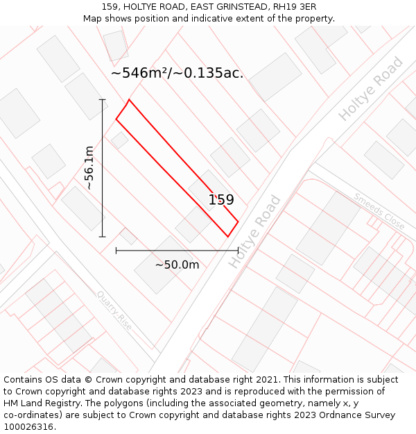 159, HOLTYE ROAD, EAST GRINSTEAD, RH19 3ER: Plot and title map