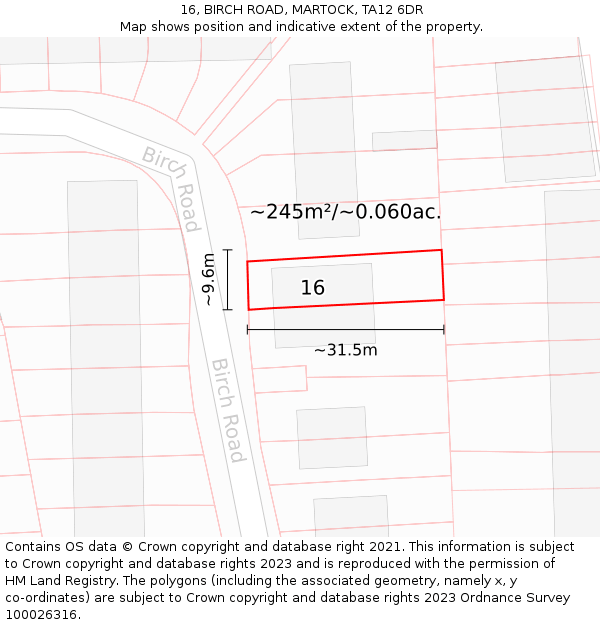 16, BIRCH ROAD, MARTOCK, TA12 6DR: Plot and title map