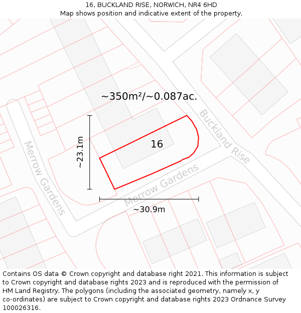 16, BUCKLAND RISE, NORWICH, NR4 6HD: Plot and title map