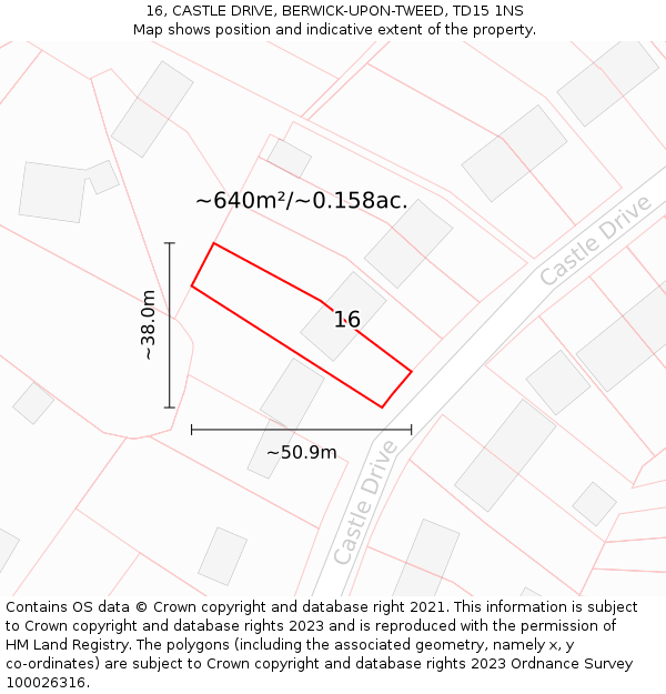 16, CASTLE DRIVE, BERWICK-UPON-TWEED, TD15 1NS: Plot and title map