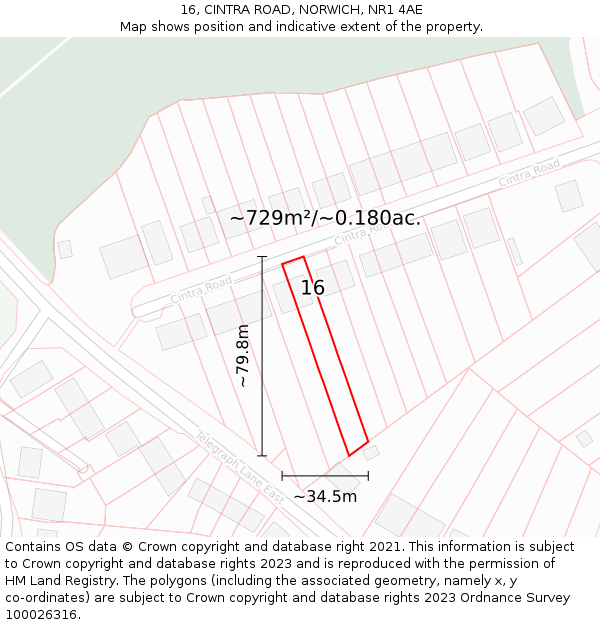 16, CINTRA ROAD, NORWICH, NR1 4AE: Plot and title map