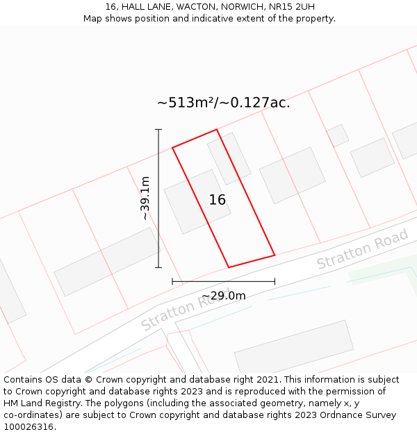 16, HALL LANE, WACTON, NORWICH, NR15 2UH: Plot and title map