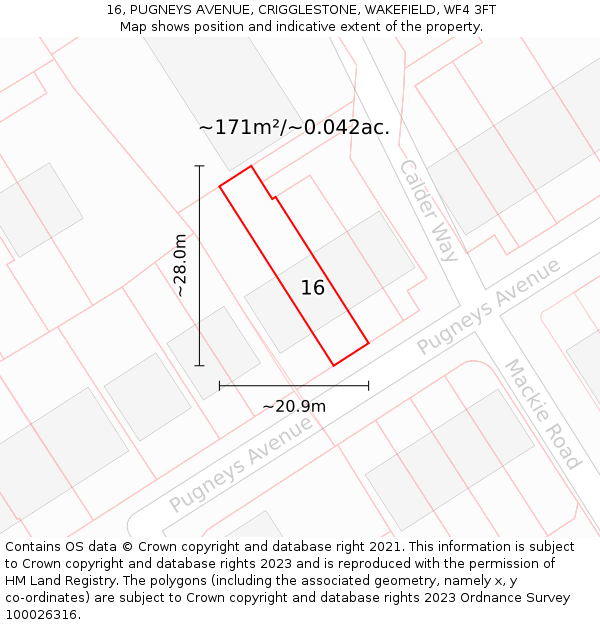 16, PUGNEYS AVENUE, CRIGGLESTONE, WAKEFIELD, WF4 3FT: Plot and title map