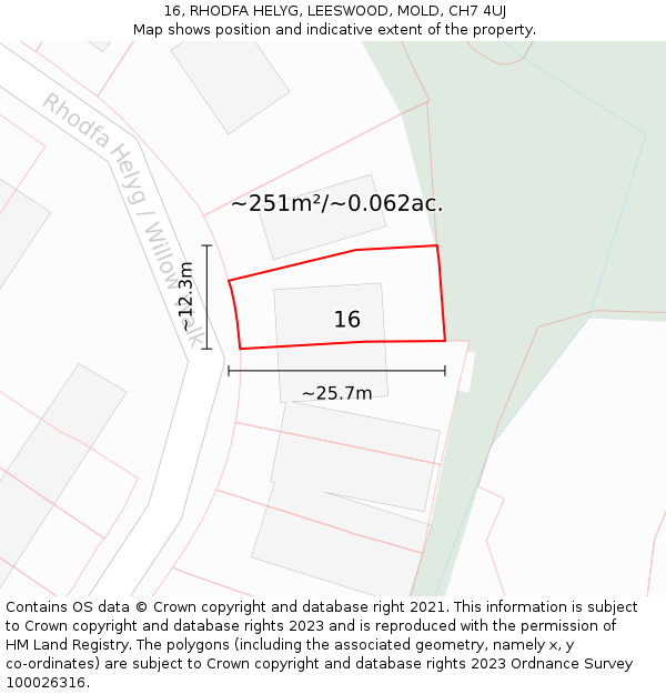 16, RHODFA HELYG, LEESWOOD, MOLD, CH7 4UJ: Plot and title map