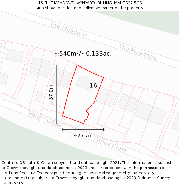 16, THE MEADOWS, WYNYARD, BILLINGHAM, TS22 5GS: Plot and title map