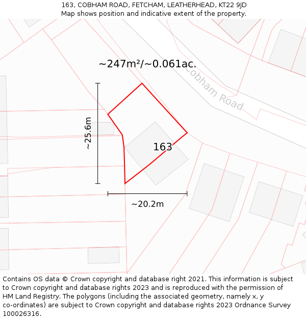 163, COBHAM ROAD, FETCHAM, LEATHERHEAD, KT22 9JD: Plot and title map