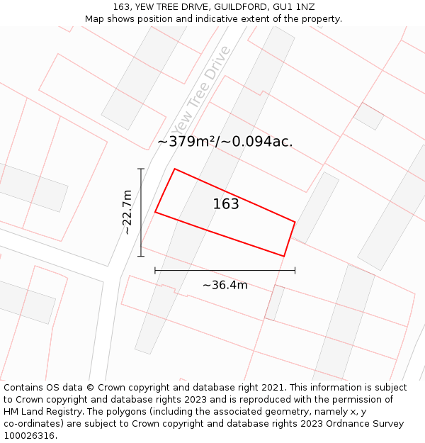 163, YEW TREE DRIVE, GUILDFORD, GU1 1NZ: Plot and title map