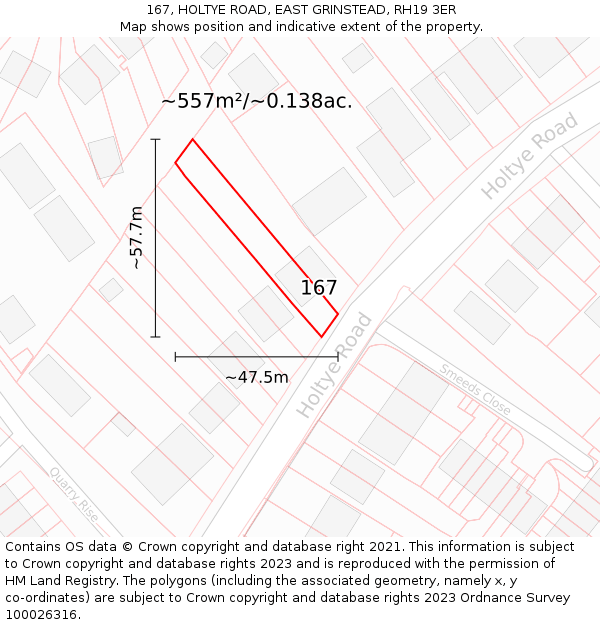 167, HOLTYE ROAD, EAST GRINSTEAD, RH19 3ER: Plot and title map