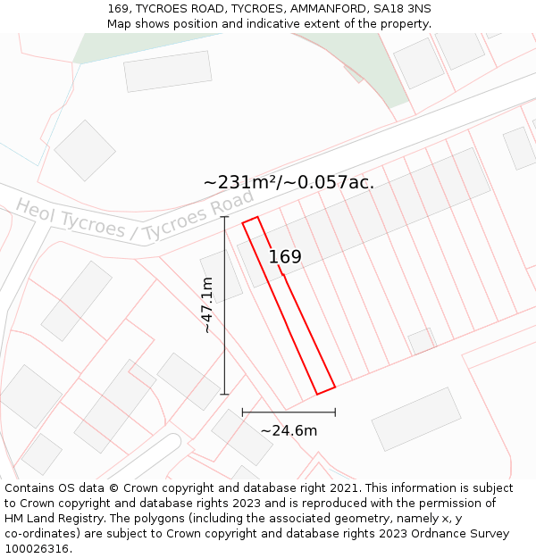 169, TYCROES ROAD, TYCROES, AMMANFORD, SA18 3NS: Plot and title map