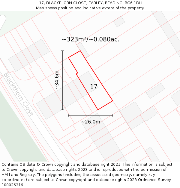 17, BLACKTHORN CLOSE, EARLEY, READING, RG6 1DH: Plot and title map