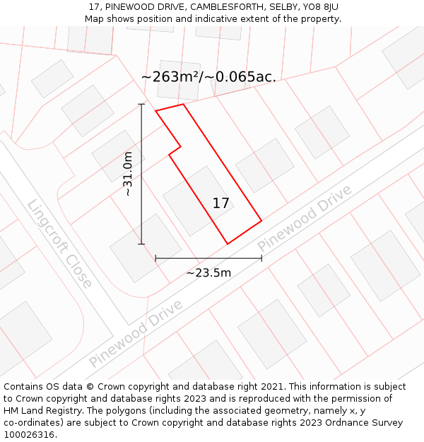 17, PINEWOOD DRIVE, CAMBLESFORTH, SELBY, YO8 8JU: Plot and title map