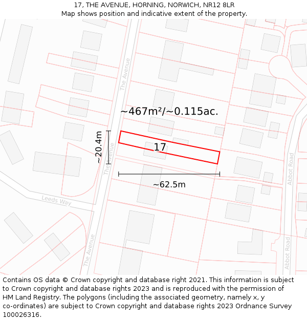 17, THE AVENUE, HORNING, NORWICH, NR12 8LR: Plot and title map