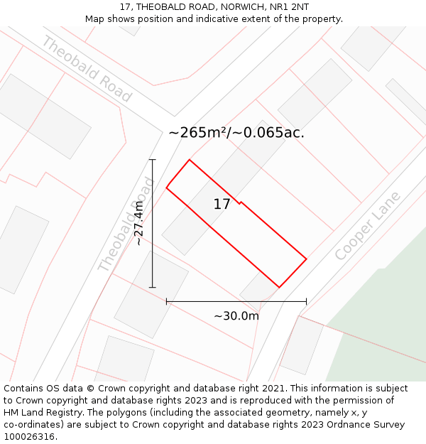 17, THEOBALD ROAD, NORWICH, NR1 2NT: Plot and title map