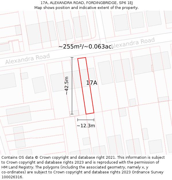 17A, ALEXANDRA ROAD, FORDINGBRIDGE, SP6 1EJ: Plot and title map