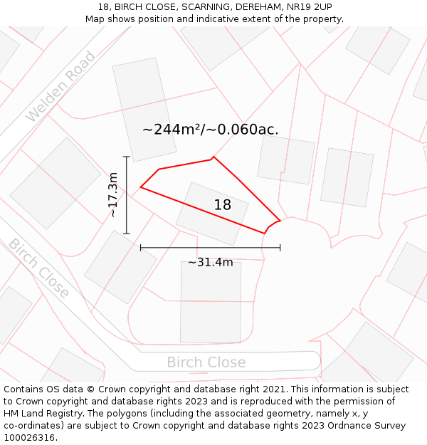 18, BIRCH CLOSE, SCARNING, DEREHAM, NR19 2UP: Plot and title map