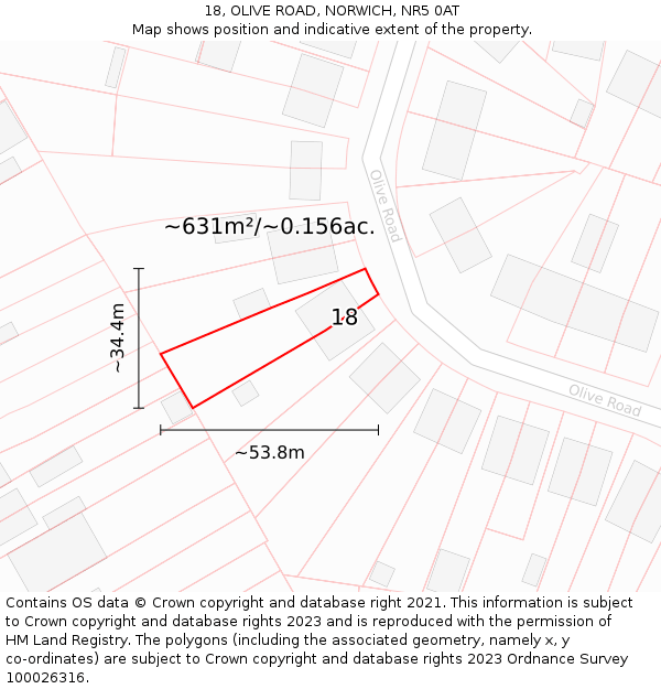18, OLIVE ROAD, NORWICH, NR5 0AT: Plot and title map
