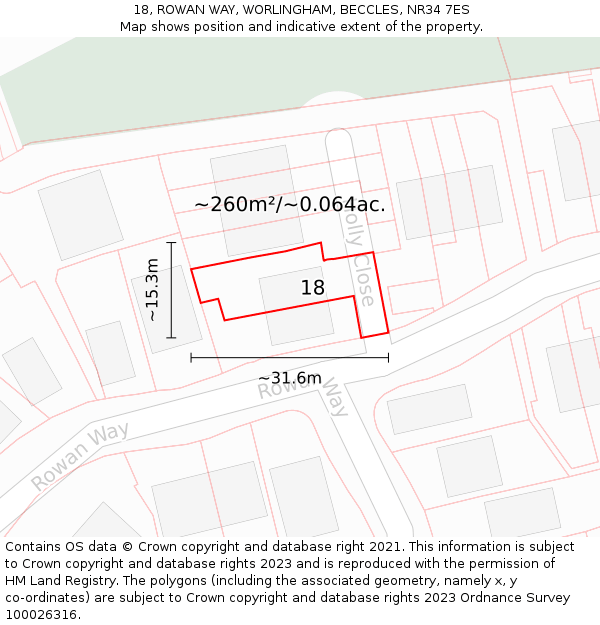 18, ROWAN WAY, WORLINGHAM, BECCLES, NR34 7ES: Plot and title map