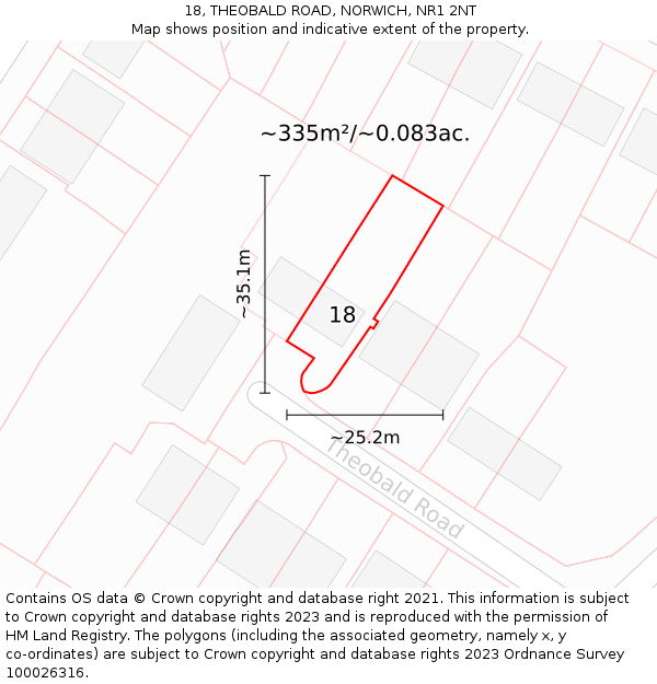 18, THEOBALD ROAD, NORWICH, NR1 2NT: Plot and title map